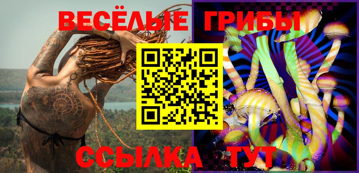 Псилоцибиновые грибы Psilocybe  Вход с VPN  Мценск 