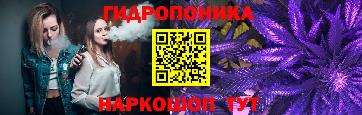 Шишки марихуана LSD WEED  Вход с VPN  Марихуана LSD WEED  Мценск 